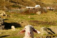 Reiseimpression von Fabienne