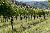 Reiseimpression von Herwig