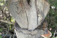 Reiseimpression von Susann