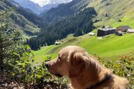 Reiseimpression von Susann