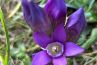 Reiseimpression von Holger Frank