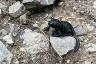 Reiseimpression von Jörg