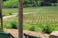 Reiseimpression von Bärbel