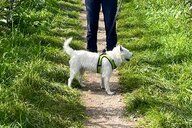 Reiseimpression von Michaela