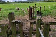 Reiseimpression von Claudia