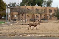 Reiseimpression von Anonym