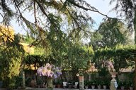 Reiseimpression von Elisabeth