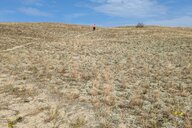 Reiseimpression von Alexander