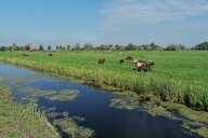 Reiseimpression von Ahmet 