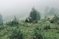 Reiseimpression von Alexandra