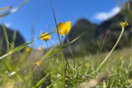 Reiseimpression von Markus