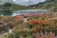 Reiseimpression von Janina-Fee 