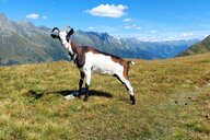 Reiseimpression von Andrea