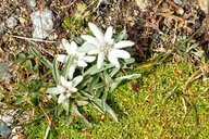 Reiseimpression von Andrea