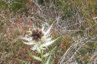 Reiseimpression von Axel Friedrich