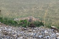 Reiseimpression von Tobias