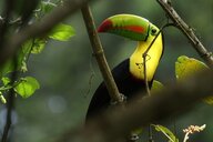 Reiseimpression von Uwe