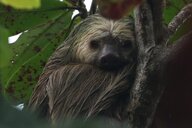 Reiseimpression von Uwe