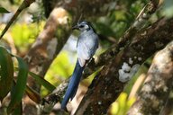 Reiseimpression von Uwe