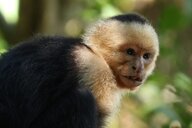 Reiseimpression von Uwe