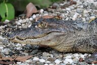 Reiseimpression von Uwe