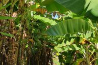 Reiseimpression von Meike