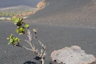 Reiseimpression von Meike