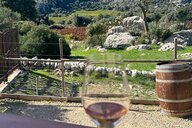 Reiseimpression von Agens