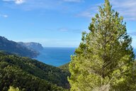 Reiseimpression von Alexa