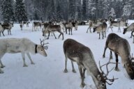 Reiseimpression von Uwe Friedrich