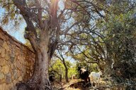 Reiseimpression von Petra Cornelia