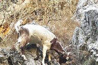 Reiseimpression von Isabella