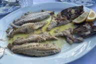 Reiseimpression von Konrad