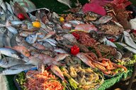 Reiseimpression von Käthi