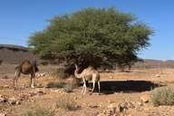 Reiseimpression von Käthi