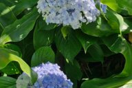 Reiseimpression von Inke