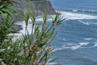 Reiseimpression von Inke