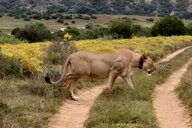 Reiseimpression von Stefan