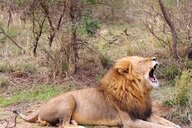 Reiseimpression von Edda