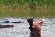 Reiseimpression von Edda