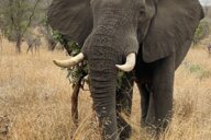 Reiseimpression von Joachim