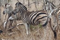 Reiseimpression von Joachim