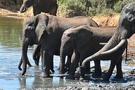 Reiseimpression von Joachim