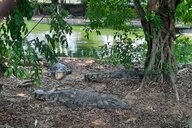 Reiseimpression von Anna-Maria