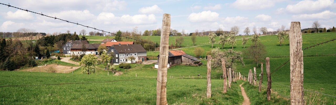 Feldweg am Bergischen Panoramasteig | © shutterstock.com