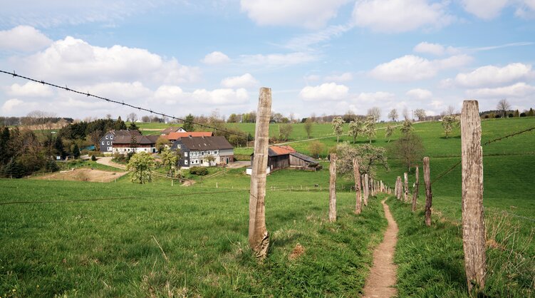 Feldweg am Bergischen Panoramasteig | © shutterstock.com