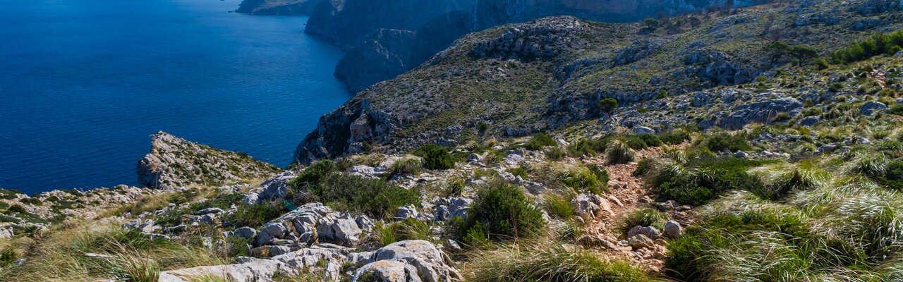 Küste der Serra de Tramuntana