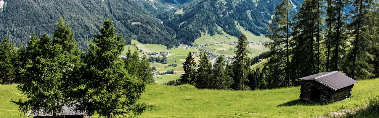 Blick auf Wiesen, Hütten und Berge im Stubaital in Österreich