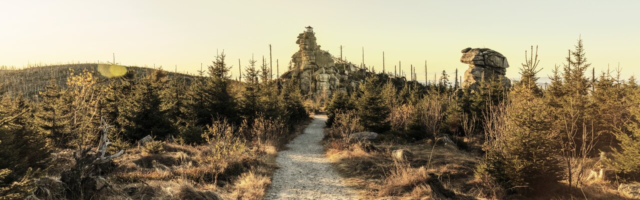 Dreisessel Berg am Goldsteig