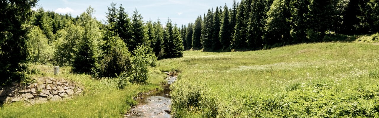 Pure landschaftliche Idylle am Kammweg in Sachsen.